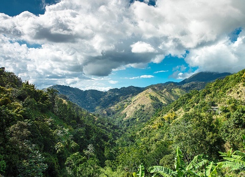 Hôtel Iberostar Waves Rose Hall Beach - 19