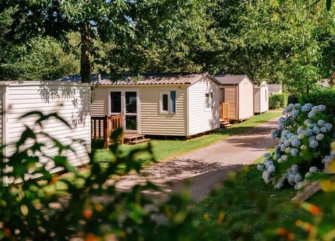 Flower Camping La Blanche Hermine, 3* - 33