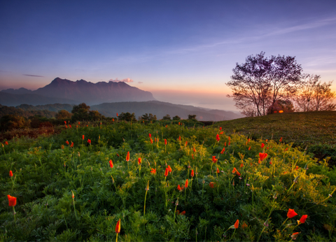 Circuit Thaïlande Insolite, à la rencontre des Tribus du Nord - 19