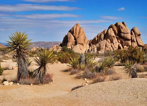 Splendeurs de l'Ouest des USA 11J/9N - 8