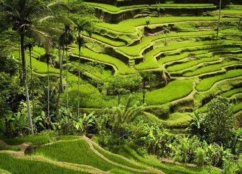 Circuit au Cœur de Bali et Extension All Inclusive Nusa Dua Beach Hotel & Spa 5* - Handwritten Collection - 4