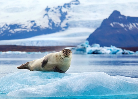 Circuit individuel Glacier Aventure - 16