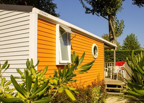 Camping Le Bois Verdon, 4* - 19