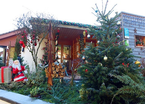 VVF Les Fontaines des Vosges 3* - 12