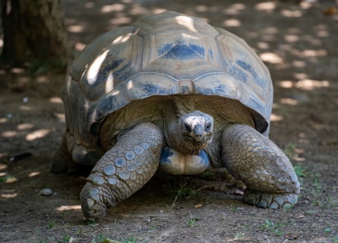 Circuit Les Oasis du Sénégal en privatif *** - 14