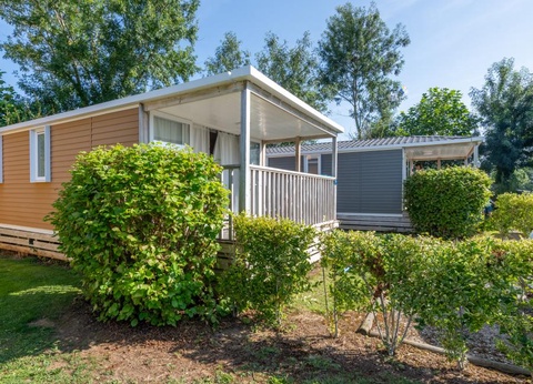 Flower Camping Vitamin, 4* - 48