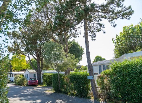 Camping L'Abri des Pins, 4* - 66