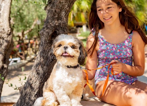 Gitavillage Talamone - 45