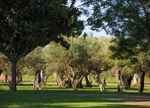 Club Jumbo Lipari 4* - 4