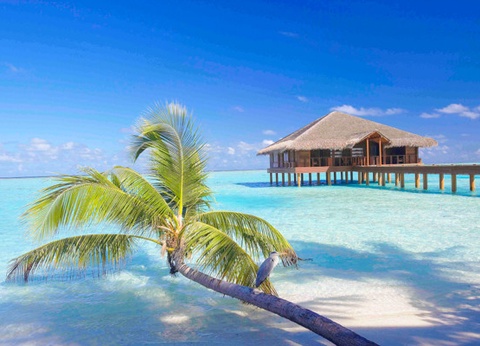 Hôtel Medhufushi Island Resort 4* - 18