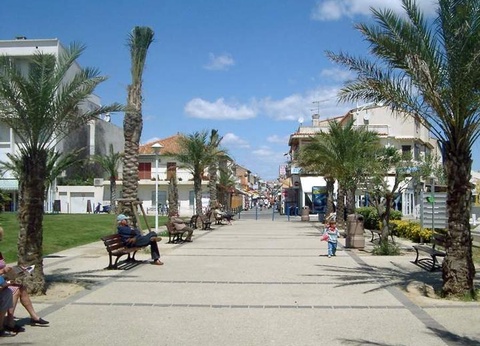 Camping Eden, 5* - 31