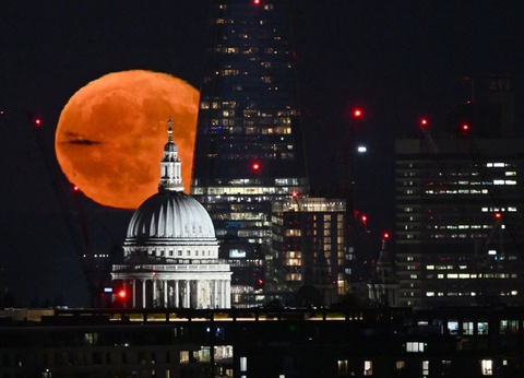 Evènement : Sur les traces du jeune sorcier - 6