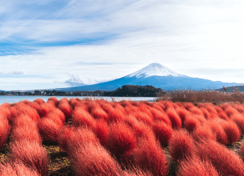 Circuit De la Corée au Japon, Matin Calme et Soleil Levant.. - 38