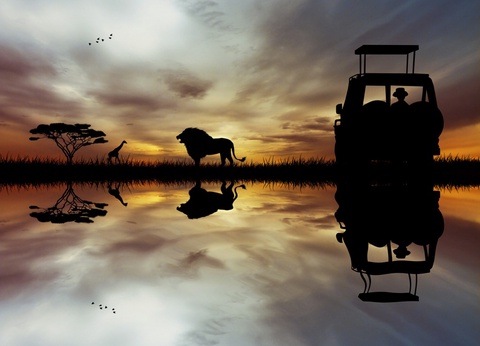 L'Afrique du Sud Intimiste, Chutes Victoria & Parc Chobe - 17J/14N Limité à 16 pers. (sauf sur la partie Victoria et Chobe) - Dès le 07/04/25 - Vols Long Courrier Air France - 3