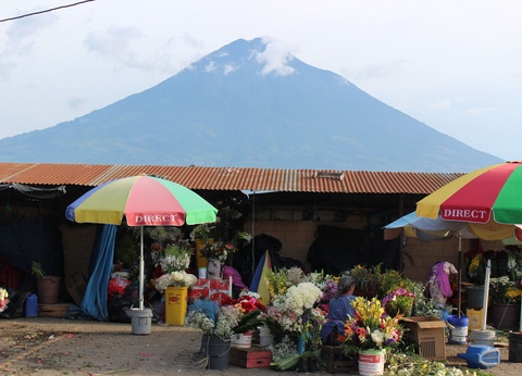 Circuit Terres métisses ancestrales - 4