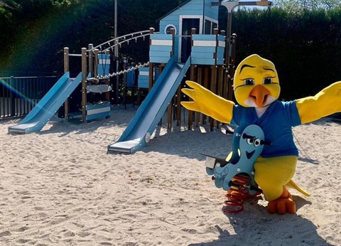 Camping Paradis des Pins - Royan, 4* - 22