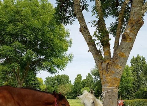 Camping Le Lac des Varennes, 3* - 14