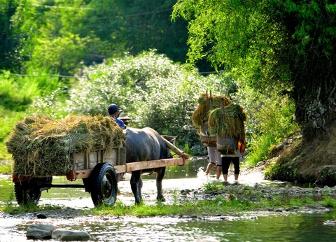 Circuit Peuples des montagnes sculptées - 7