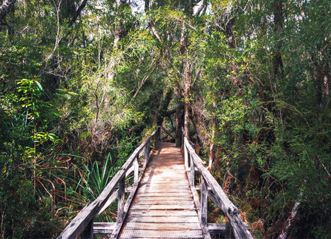 Circuit Découverte de Chiloé et Aventure Chilienne du Nord au Sud - 31