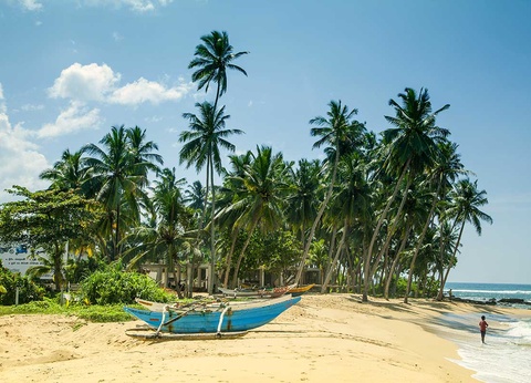 Circuit Majestueuse île de Ceylan et Jaffna - 16