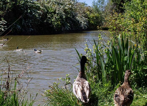 Camping Mirabel Les Prairies de la Mer, 4* - 50