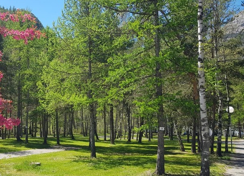 Camping l'Iscle de Prelles, 3* - 20