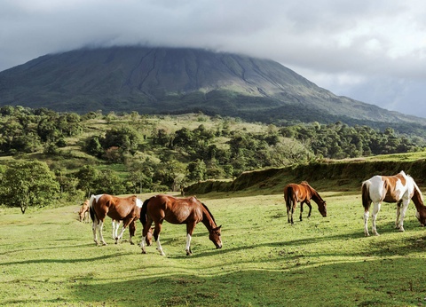 Circuit Costa Rica, terre d'émeraude et de saphir - 3