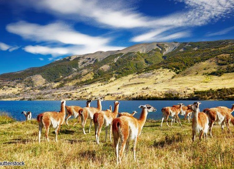 Circuit Chili : Beautés sauvages - 4