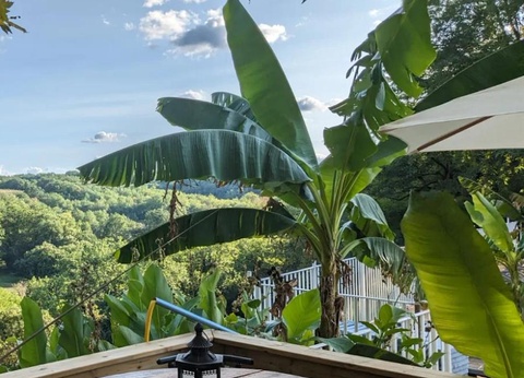 Camping Le Pech de Caumont, 3* - 16