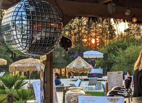 Domaine de Cicé-Blossac, resort Spa - Détente et gastronomie dans un cadre élégant près de Rennes - 4* - 6