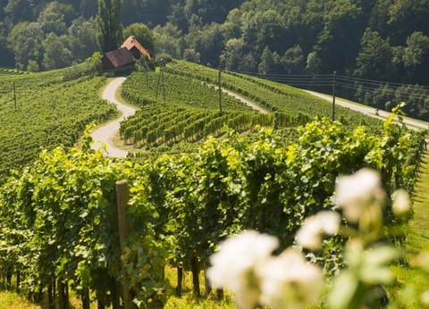 Autotour Evasion en Slovénie 3* ou 4* - 13