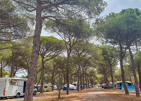 Camping La Tamarissière, 4* - 6