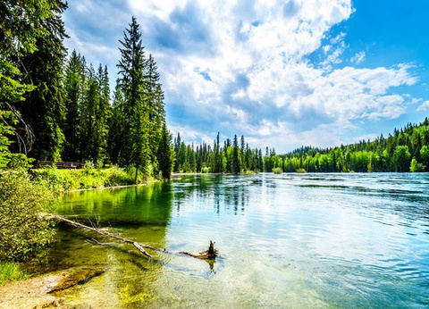 Circuit Rocheuses Canadiennes, la Nature en Grand - 11