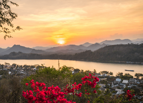 Circuit Lotus du Laos - 4