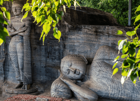 Circuit Trésors du Sri Lanka en Privatif et plage à Pasikudah 3* - 20