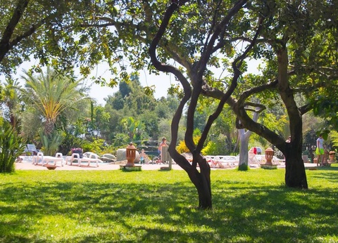 Camping Ultima Spiaggia, 4* - 35