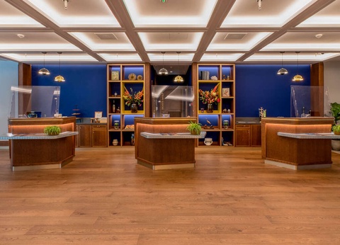 Long week-end culinaire à La Haye avec accès au Keukenhof - 4* - 3