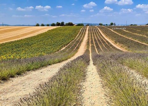 Camping Tikayan Oxygene, 3* - 43