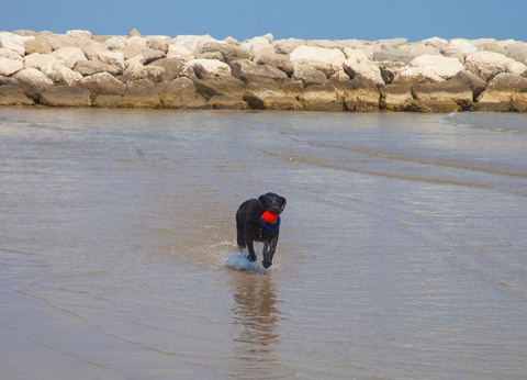 Camping Cavallino, 4* - 53