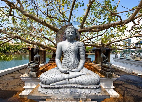 Circuit Au pays de l'or vert - 5