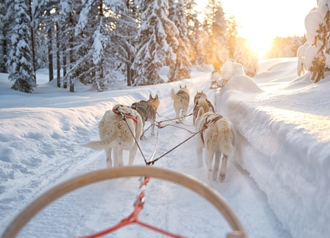 Brandon Lodge - Cocon Boréal 6J/5N - 2