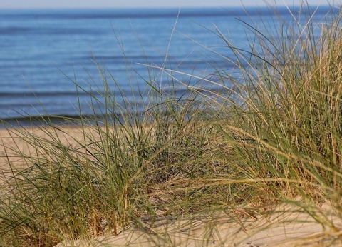 Camping Domaine de La Pinede, 3* - 26