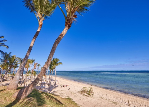 Hôtel Riu Turquoise 4* - 3