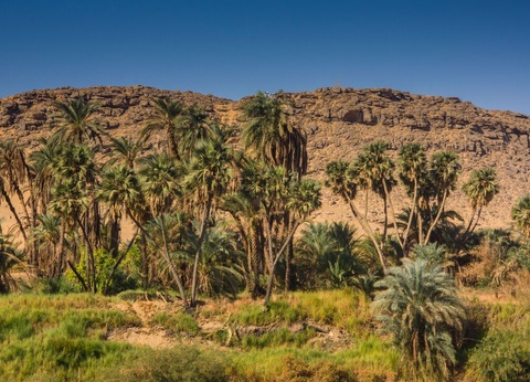 Combiné croisière Rêverie sur le Nil et Serenity Fun City 5* - 3