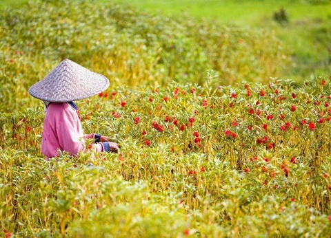 Hôtel Mamaka by Ovolo 4* - 18