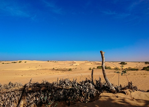 Balade Sénégalaise 3* - 7