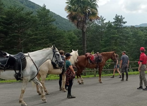 Camping La Cremade - 6