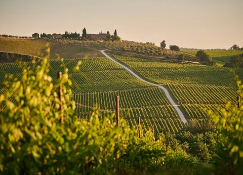 Autotour Toscane Gourmande en 3 Nuits - 2