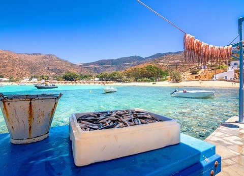 Combiné hôtels Combiné 3 îles: Santorin - Paros - Ios en 15 jours - 18
