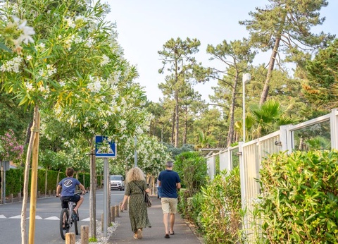 Camping Le Vieux Port, 5* - 49